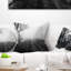 Noir et blanc paysage brumeux Panorama - paysage imprimé coussin-29455494-29455497