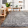 Barajas Oriental Gray Area Rug