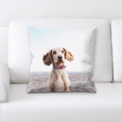Dog Square Pillow Cover and Insert