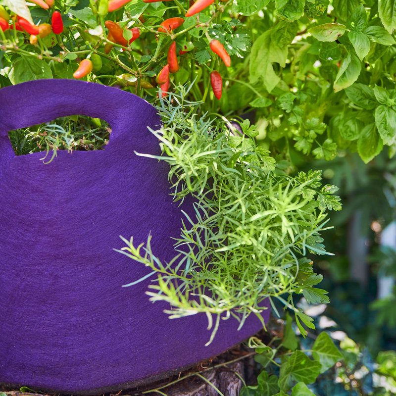 Jardinière en tissu Smart Pot®, 11,5 x 16 x 16, Mauve