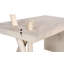 Branch Waterfall 60" W Desk