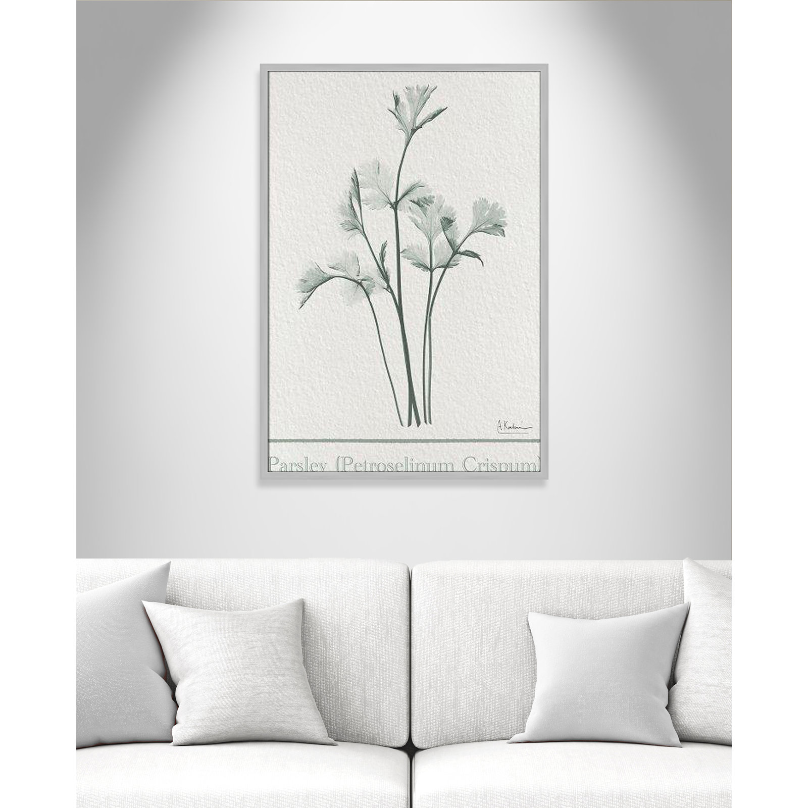 Jeanette "Parsley II" Print by Albert Koetsier, Matte Silver Framed Paper, 41.5" H x 29.5" W x 1.25" D
