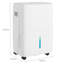 Dehumidifier