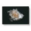 A White Rose In Abstract - Wrapped Canvas-55300532