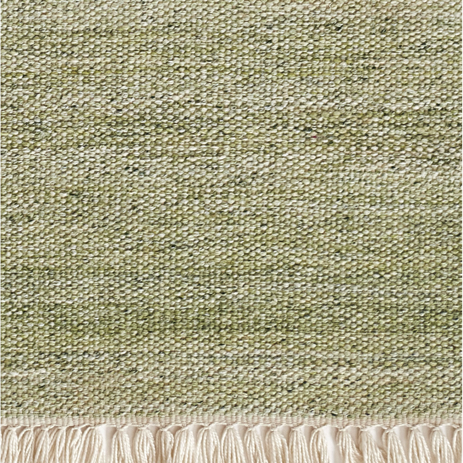 Cassandra Green Hand-Woven Outdoor Rug, Rectangle 5' x 8'