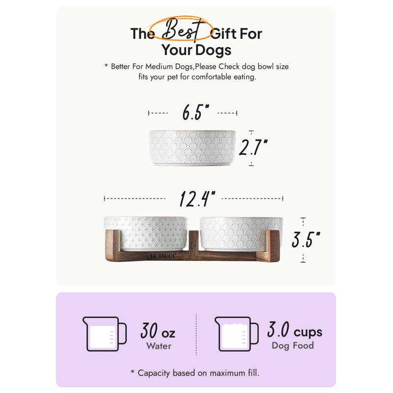 Ceramic Dog Bowls with Acacia Wood Stand for Small to Medium Pets