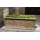 Vernetta Glass Planter Box