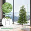 Plant-798864595