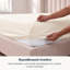 Drap-housse en satin de coton biologique certifié Dela GOTS, densité de tissage 400, coton doux à longues fibres, poche profonde de 16 po-88077808-88077803