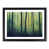 Black Framed selected