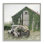 «Magical Farmhouse Barn Green Vine Botanicals Flower Field» par Lori Deiter - photographie