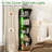 Modern LED Corner Bookshelf With Remote, 5 Tier Lighted Display Shelf, RGB 7 Color Floor Standing Bookcase Storage Rack-2067335629