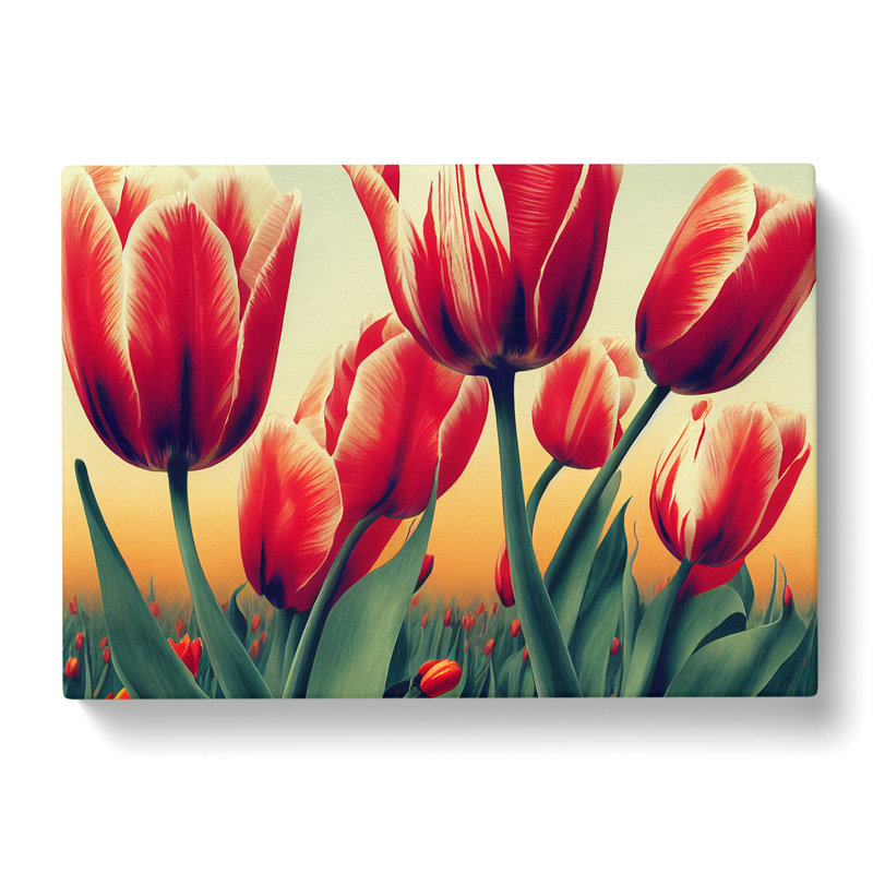 Enchanting Tulip Flowers - Wrapped Canvas, 35cm H x 50cm W x 3cm D