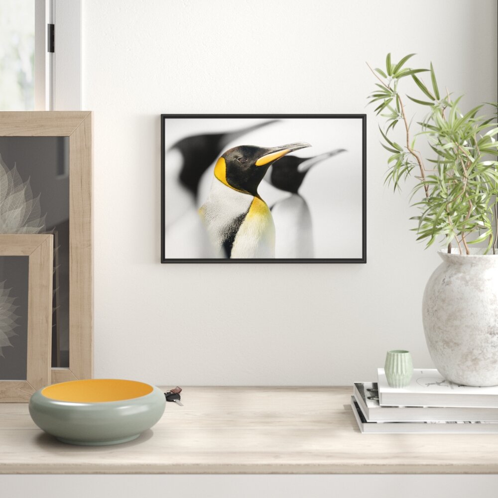 Gerahmter Fotodruck Beautiful Emperor Penguins