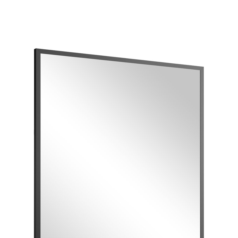 Miroir mural de salle de bain l 24 po Emma, Noir