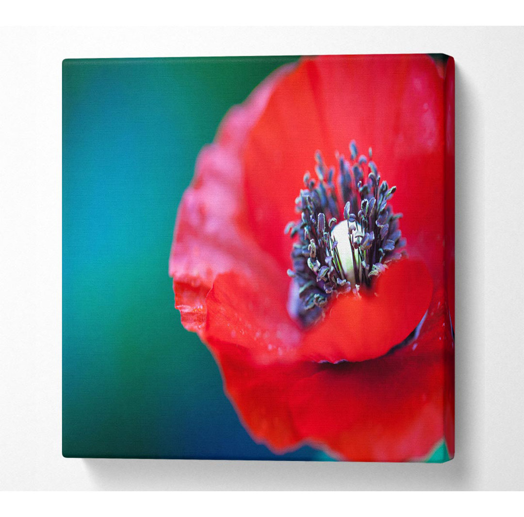 Close Look Inside A Poppy - Kunstdrucke auf Leinwand