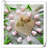 Tulip Arrangement-1036900611