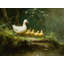 Ducklings-1703803711-1703803706
