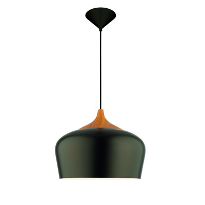 Maritza 1 - Light Unique/Statement Pendant
