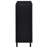 Clackamas Black 2-Door Storage Cabinet-861141931