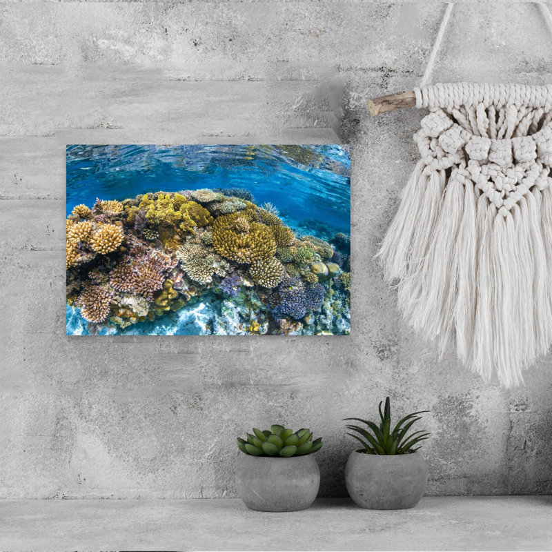 Impression murale Panoreef Ocean Tropical, H 12 po x l 18 po