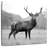 Brampt Proud Deer BW-109390132