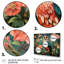"Hibou rose et gris dans le style Matisse V, 5 pièces" - 5 pièces-671266656