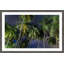 Palms at Night 1 Piece Single Picture Frame Wall Art-937872383