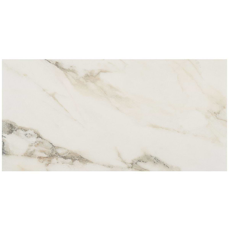 Dreamstone 12X24 Matte Porcelain Tile, Calacatta Rustico Matte