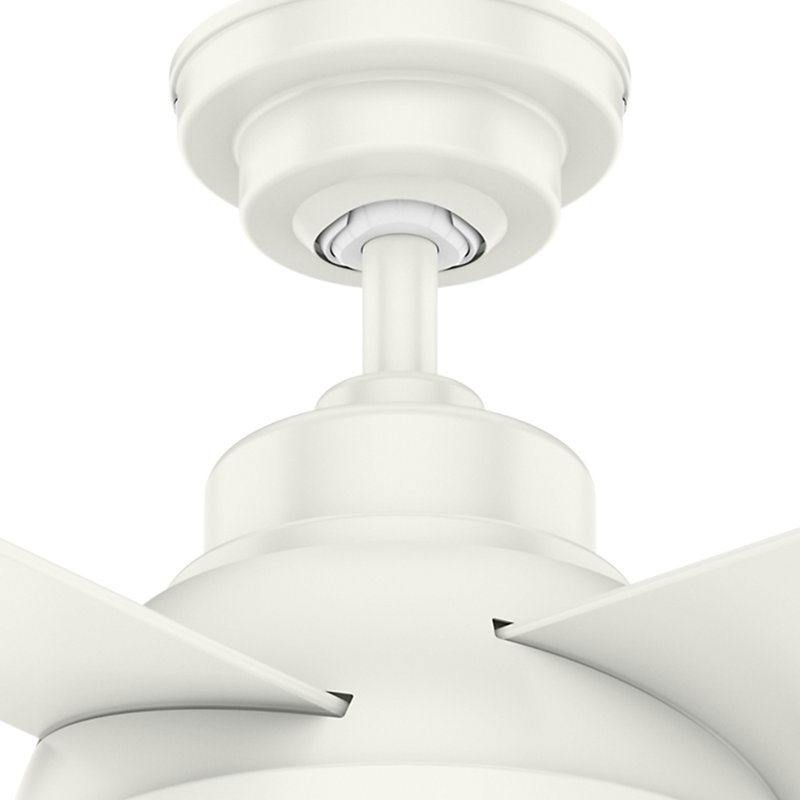 44" Levitt 4 - Blade LED Standard Ceiling Fan with Wall Control and Light Kit Included, Fresh White/Fresh White & Rustic Oak