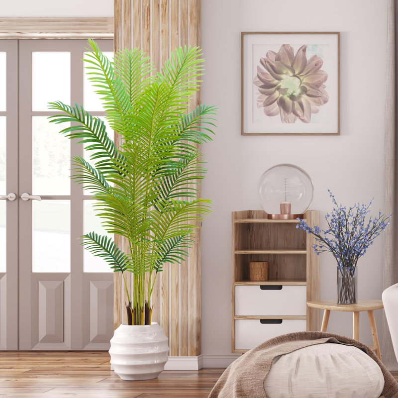 210cm Plant
