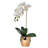 Arrangement in Pot-28022812