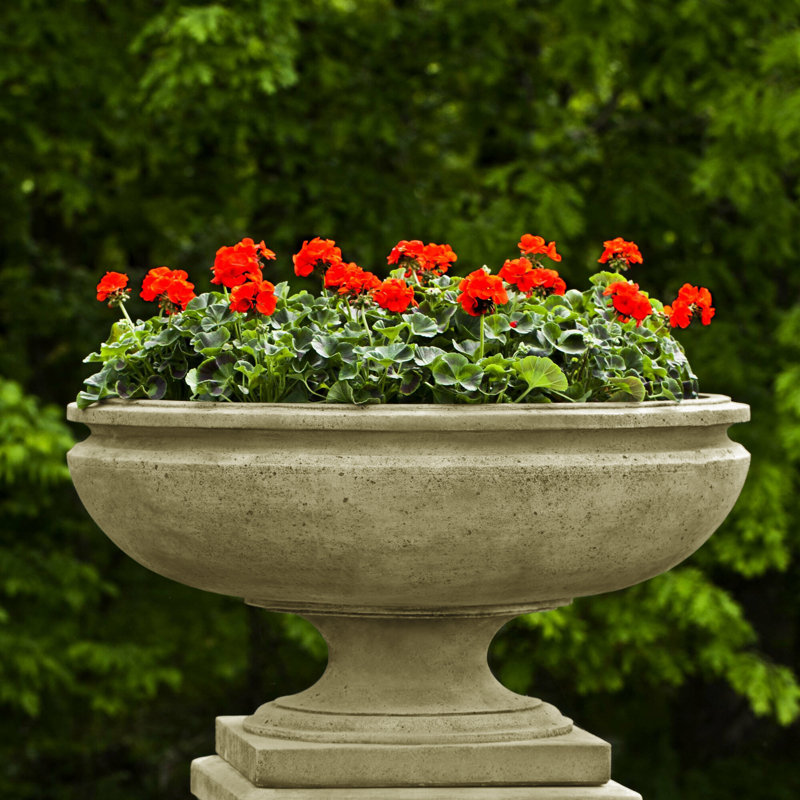 St Louis Handmade Planter, English Moss