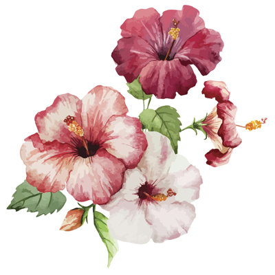 Hibiscus by Zenina - Wrapped Canvas Painting