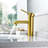 Tubize Single Hole Bathroom Faucet-82037180
