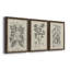 Antique Black and White Botanical VII - Ensemble de 3 reproductions d'art sur toile-282180057-282180058