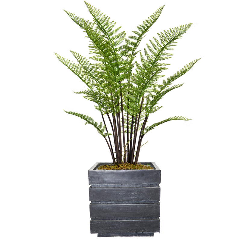 Fougère artificielle en pot 42 po Panama, gris
