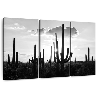 Tergel - Arizona noir - Silhouettes de cactus
