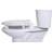 Elongated Toilet Seat and Lid-39806116
