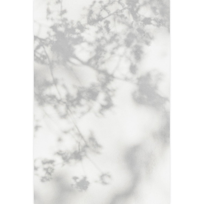 Peel & Stick Border, 72" L x 48" W