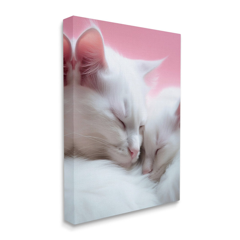 «Sleeping Cats On Pink Wrarap Canvas» par RB sur, H 20 po x l 16 po
