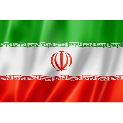 Iranian Flag by Daboost - Wrapped Canvas Print