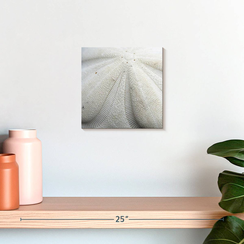 Crowle Textured Sand Dollar, 10" H x 10" W