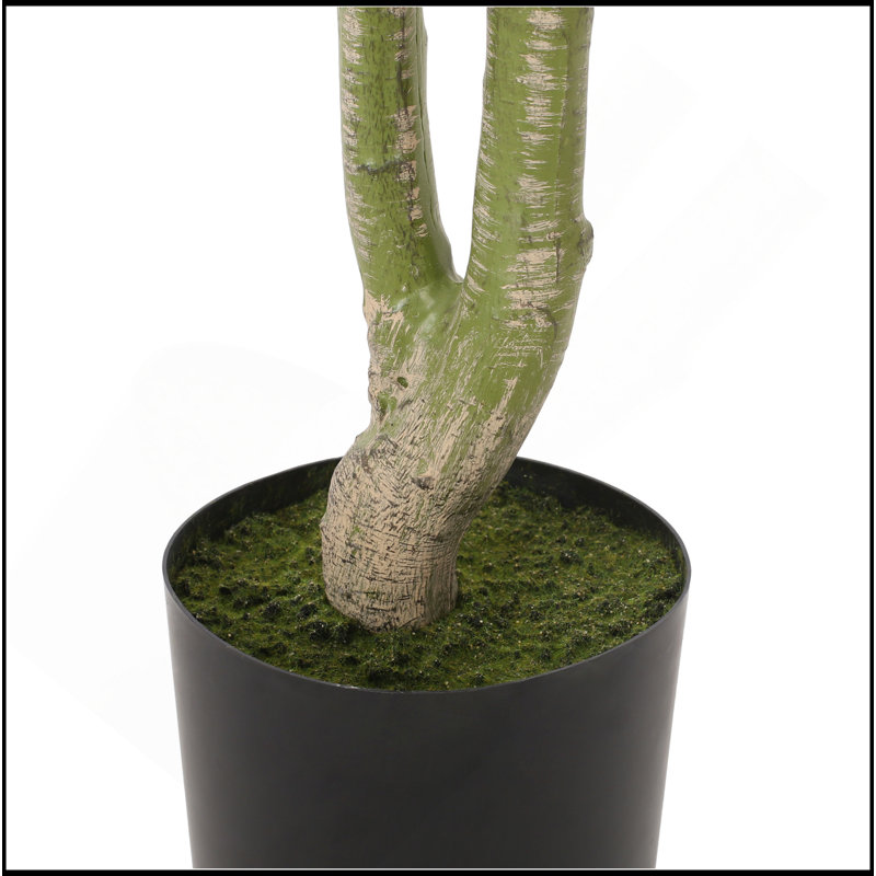 160CM ARTIFICIAL PACHIRA MACROCARPA, 63" H x 31.5" W x31.5" D
