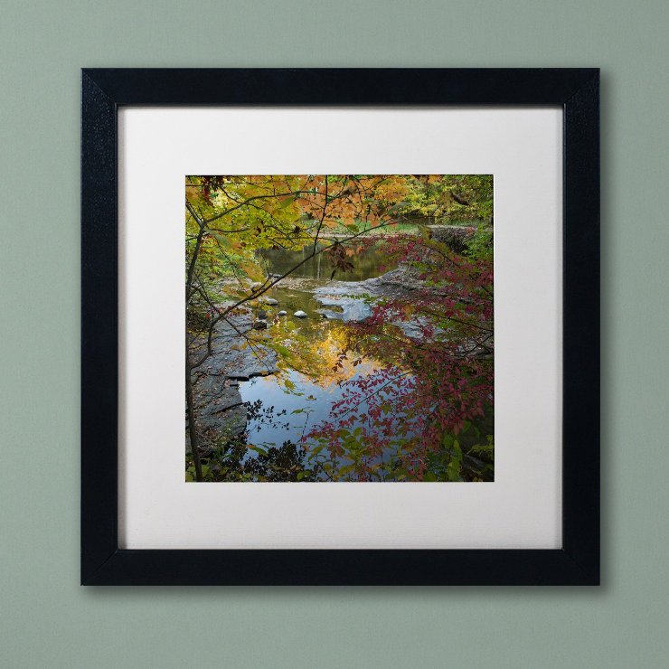 Autumn Trees Over Pond Framed Canvas Art with Black Frame