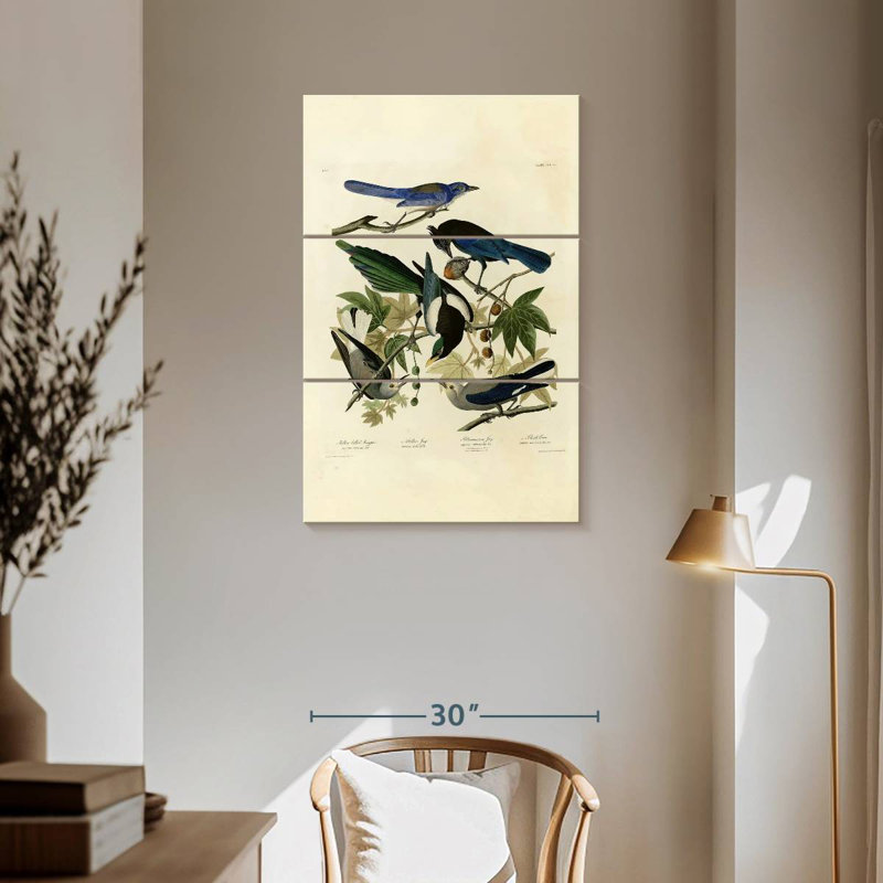 Assiette Brampt 362 d'oiseaux d'Amérique, H 57 po x l 36 po