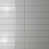 Silver Light Gray