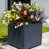 Couleur mixte