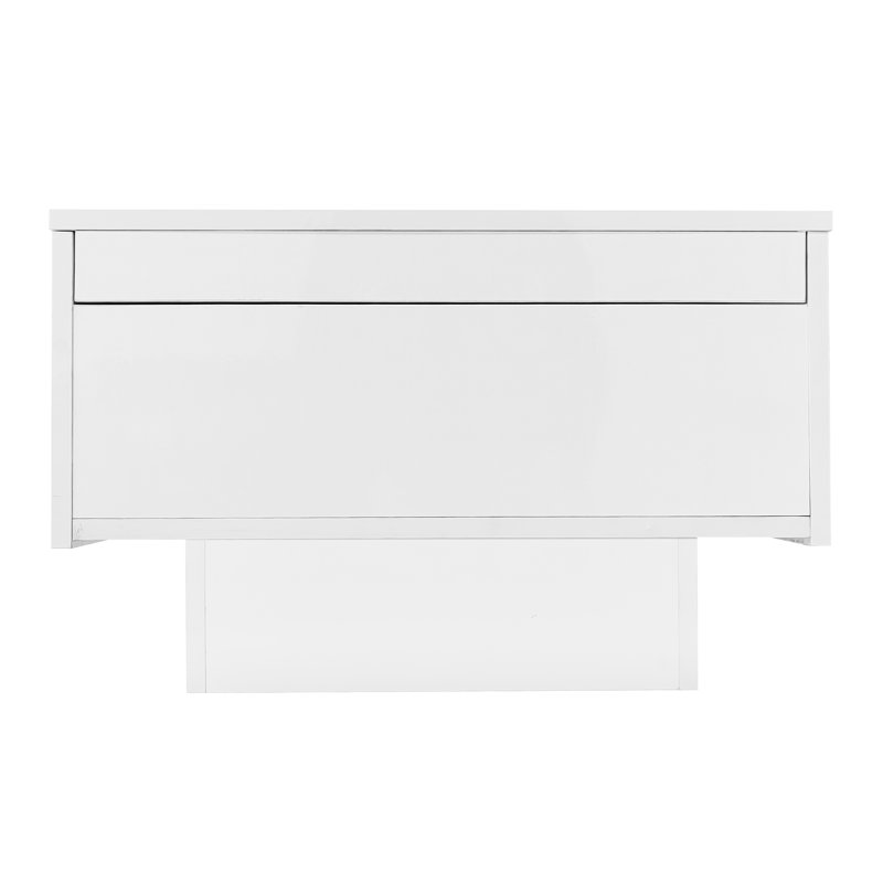 Damarys Pedestal Coffee Table with Storage