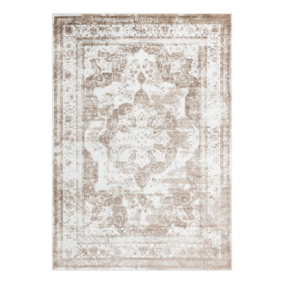 Coblitz Oriental Indoor Rug